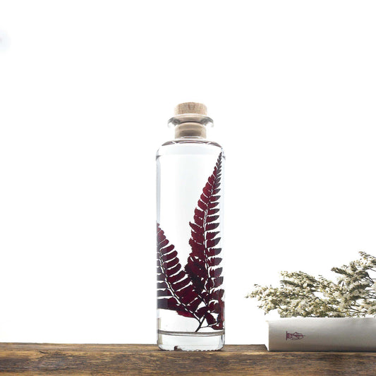Brin de Fougère Rumohra Bordeaux immergé en apesanteur dans un flacon d'apothicaire.