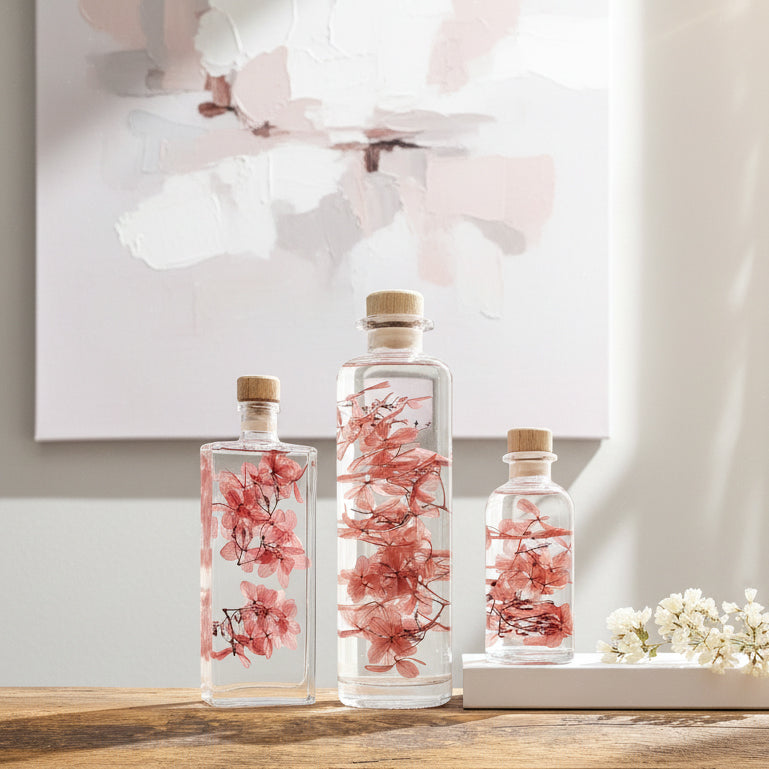 Plante immergée dans un flacon d'apothicaire en verre. Brin d'Hortensia Peegee rouge tendre