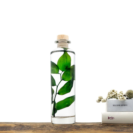 Plante immergée dans un flacon d'apothicaire en verre rond de 21 cm de hauteur. Brin de Ruscus vert profond