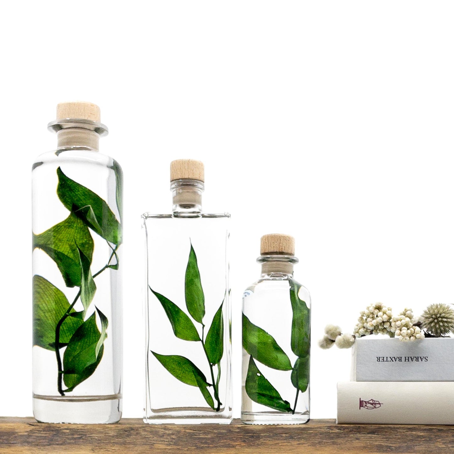 Plante immergée dans un flacon d'apothicaire en verre rond de 21 cm de hauteur. Brin de Ruscus vert profond