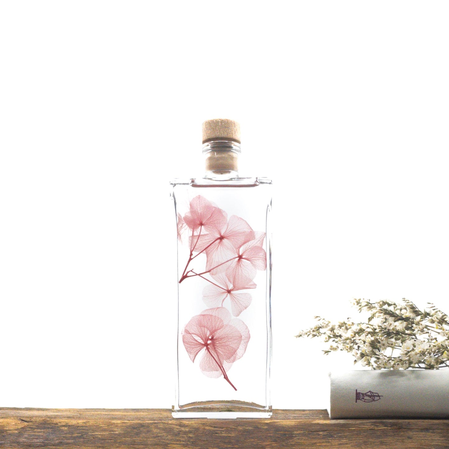 Plante immergée dans un flacon d'apothicaire en verre. Brin d'Hortensia rose.