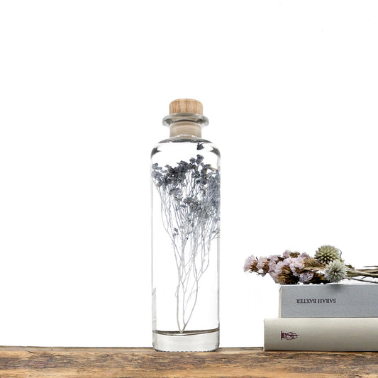 Plante immergée dans un flacon d'apothicaire en verre rond de 21 cm de hauteur. Brin de broom broom d'un bleu gris profond