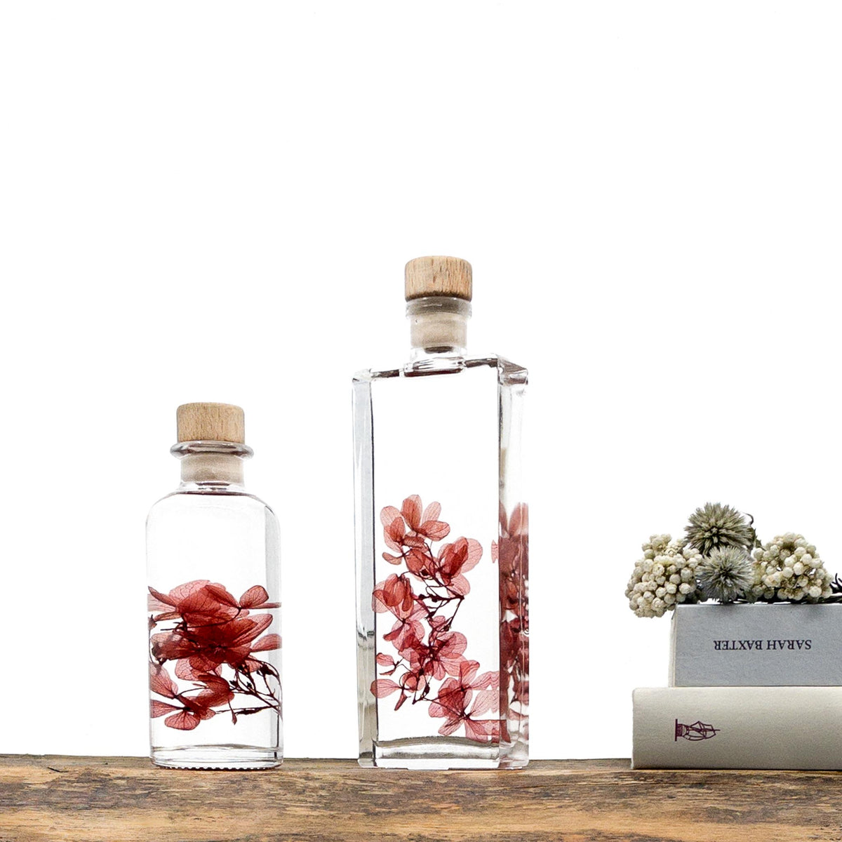 Plante immergée dans un flacon d'apothicaire en verre rectangulaire de 17 cm de hauteur. Brin d'Hortensia Peegee rouge tendre