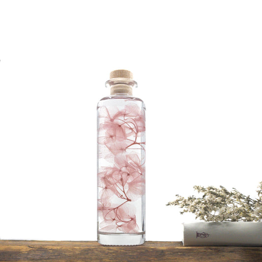 Plante immergée dans un flacon d'apothicaire en verre rond de 21 cm de hauteur. Brin d'Hortensia rose.