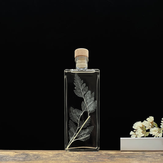 Plante immergée dans un flacon d'apothicaire rectangulaire de 17 cm. Fougère Cuir blanchie sans produits toxiques