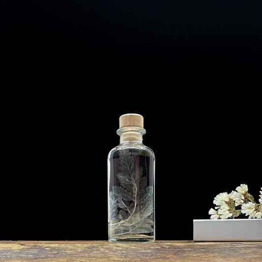 Plante immergée dans un flacon d'apothicaire rond de 12 cm. Fougère Cuir blanchie sans produits toxiques