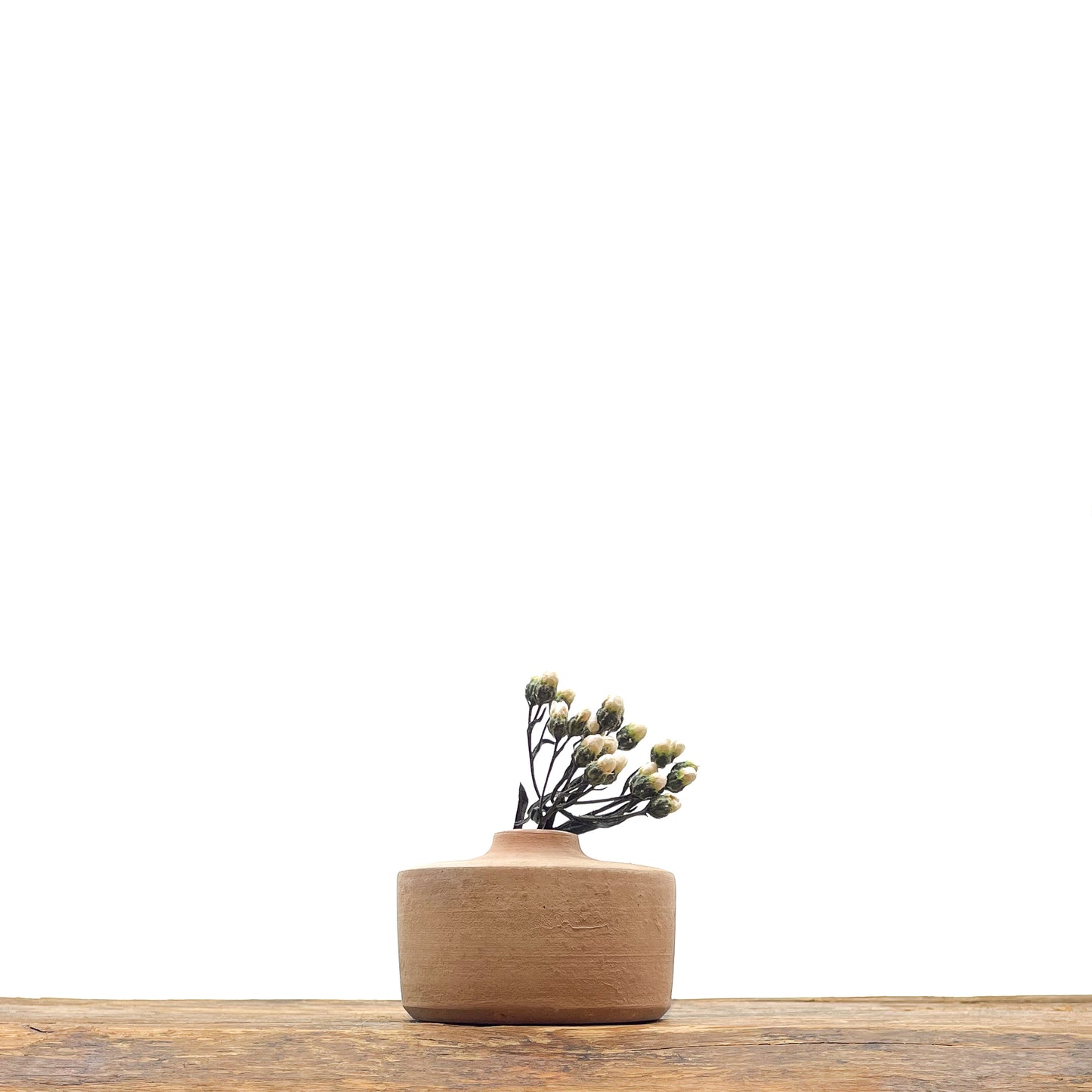 Rhodes Vases Trio #1 - Dried Flowers Included