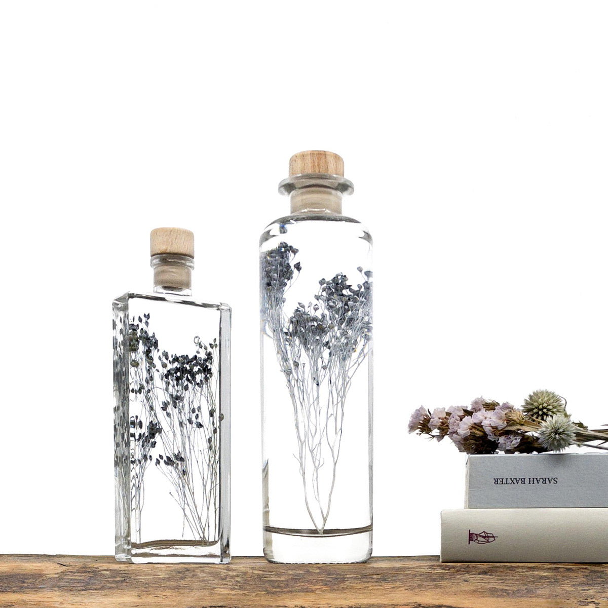 Plante immergée dans un flacon d'apothicaire en verre. Brin de broom broom d'un bleu gris profond