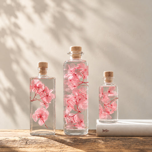 Plante immergée dans un flacon d'apothicaire en verre. Brin d'Hortensia rose framboise.