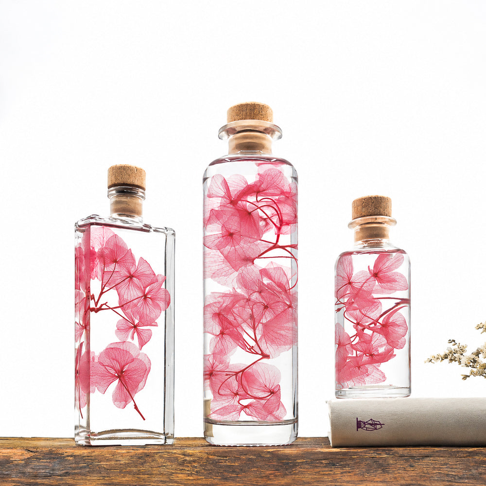 Plante immergée dans un flacon d'apothicaire en verre. Brin d'Hortensia rose framboise.