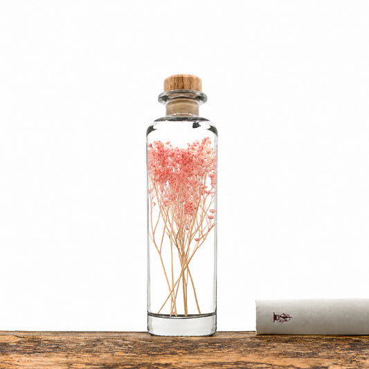 Plante immergée dans un flacon d'apothicaire en verre rond de 21 cm de hauteur. Brin de broom broom rose corail.