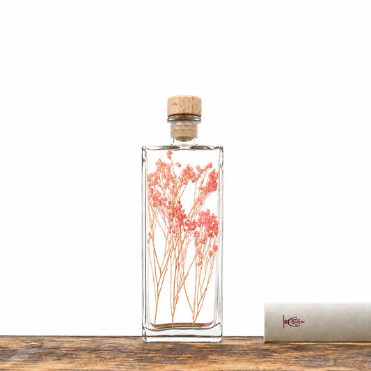Plante immergée dans un flacon d'apothicaire en verre rectangulaire de 17 cm de hauteur. Brin de broom broom d'un rose corail